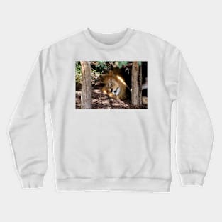 Lion After Lunch Nap Crewneck Sweatshirt